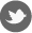 CMA Silverstone Twitter